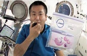 Bí ẩn “hoa anh đào từ vũ trụ” gây xôn xao ở Nhật Du hành gia Wakata và túi đựng hạt đào trên ISS.
