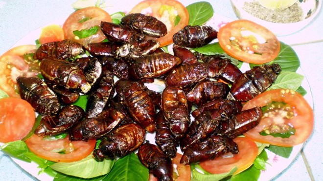 Dân Bảy Núi kiếm bộn tiền nhờ săn bọ rầy Bọ rầy chiên là món ăn khoái khẩu của nhiều thực khách khi đến An Giang. Ảnh: VnExpress