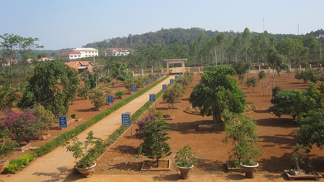 Vay hàng trăm triệu để xây trường đẹp cho học trò Bahnar Sân trường Tiểu học Đăk Rong với hệ thống cây cảnh thẳng hàng trông rất đẹp.