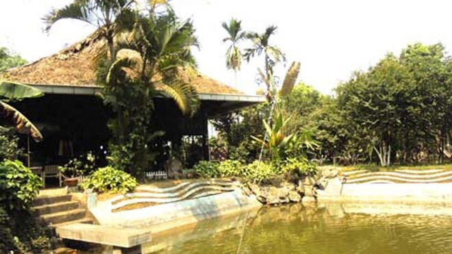 Thú chơi nhà sàn của đại gia Hà thành Dọc theo các con đường làng thuộc hai xã Phú Cát và Hòa Thạch, đâu đâu cũng gặp những nếp nhà sàn đủ kiểu của nhiều dân tộc và vùng miền khác nhau.