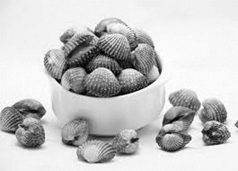 Nhiễm viêm gan virus A vì ăn sò sống Ảnh minh họa.