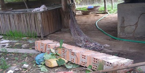 Hi hữu: Nằm võng bị cột... đè chết Một trường hợp nằm võng bị cột ngã đè chết xảy ra tại tỉnh Tây Ninh