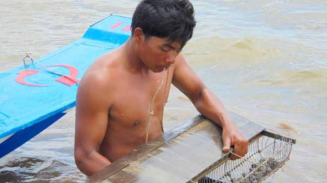 Làm giàu nhờ nuôi sò huyết trên Đất Mũi Người dân ở huyện Trần Văn Thời thu hoạch sò huyết. Ảnh: Ngọc Trinh.