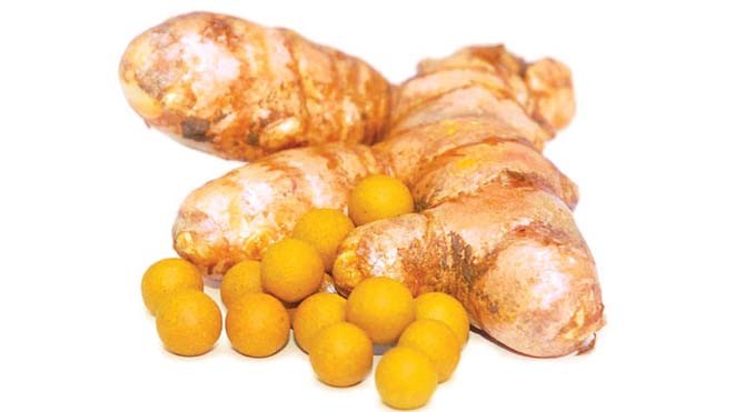 Nghệ giúp đẩy lùi chứng mất trí nhớ Ảnh: Thái Nguyên