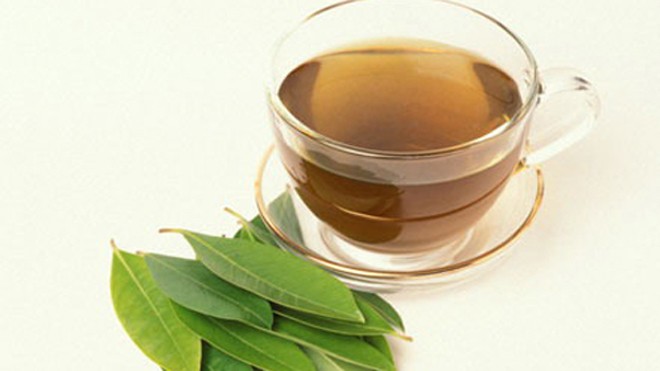 Lá vối hỗ trợ điều trị bệnh gút Ảnh minh họa.