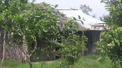 Đám cưới bi hài ở miền Tây: Chị bỏ trốn, bắt đền em Ngôi nhà rách của mẹ con bà Nhị.