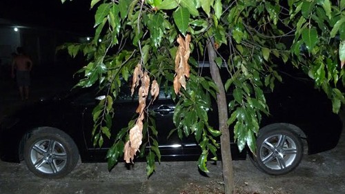 Bé gái chết ngạt bí ẩn trong ôtô đỗ ở bệnh viện Chiếc ô tô, nơi bé gái bị chết ngạt. Ảnh: Nguyệt Triều