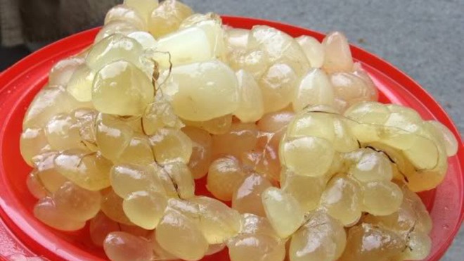 Đổ xô mua mỡ trăn vì tin đồn làm đẹp thần kỳ Lượng mỡ tươi thu về dựa trên cân nặng của trăn. Thông thường, 1 con trăn nặng 40kg lọc được gần 4kg mỡ. Ảnh: FBNV.