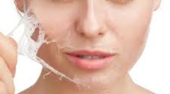 Chuyển đổi tế bào da thành mầm sinh dục Chuyển đổi tế bào da thành mầm sinh dục