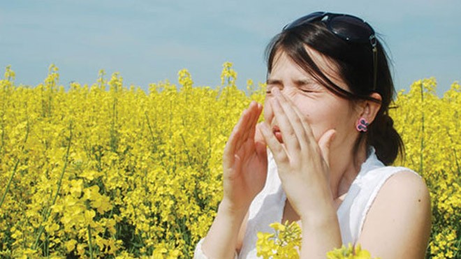 Mùa xuân, cẩn thận dị ứng với phấn hoa và côn trùng Mùa xuân, cẩn thận dị ứng với phấn hoa và côn trùng