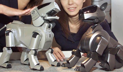 Robot có thể thay thế vật nuôi trong tương lai Robot thú nuôi sẽ phổ biến hơn và có thể thay thế vật nuôi thật trong các gia đình. Ảnh: Reuters