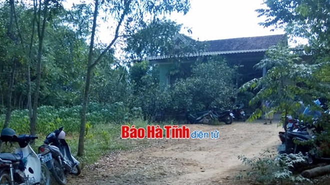 Bị gỗ lao thiệt mạng Bị gỗ lao thiệt mạng