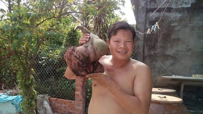 Đào được củ khoai lang hình thù lạ, nặng 6 kg Anh Đức tỏ ra bất ngờ với củ khoai "khủng" mình vừa đào được