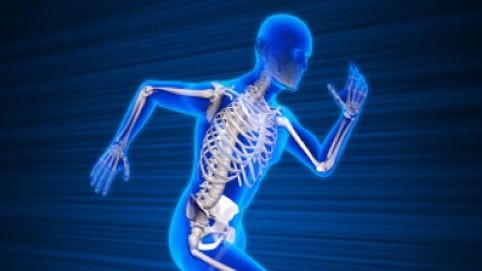 Xương người nhẹ hơn xưa do lối sống ít đi lại Ảnh minh họa.
