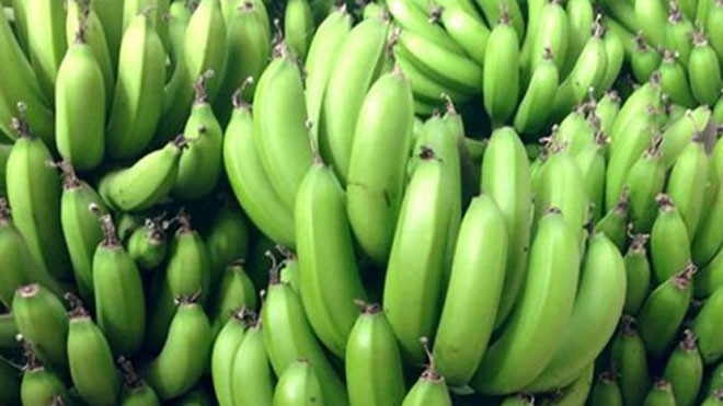 Lạt tẩy vựa chuối ngâm thuốc diệt cỏ Ảnh minh họa.