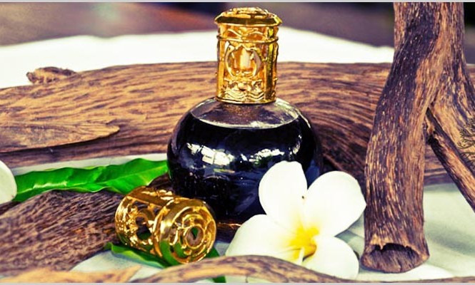 Chống ung thư từ các loại tinh dầu tự nhiên Tinh dầu là một trong những cách phòng chống ung thư cực hiểu quả ít người biết đến