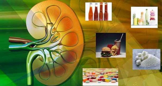 Thực phẩm không tốt cho người bệnh thận Thận đảm nhiệm nhiều nhiệm vụ, việc ăn uống cũng ảnh hưởng quan trọng đến chức năng vận hành của thận.