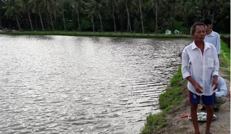 3 chị em chết đuối thương tâm sau nhà ông ngoại Vuông tôm nơi 3 cháu nhỏ tử vong