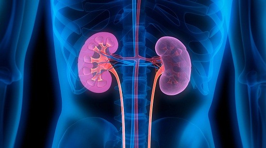 Đừng để đến khi thận 'kêu cứu' mới thải độc Ảnh minh họa