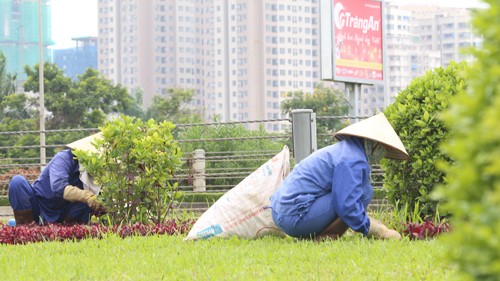 Hà Nội có hơn 400 mức giá duy trì cây xanh thảm cỏ Chi phí cho việc cắt cỏ, cắt tỉa cây hoa cảnh tại đại lộ Thăng Long đang thu hút sự quan tâm dư luận. Ảnh: Ngọc Thành.