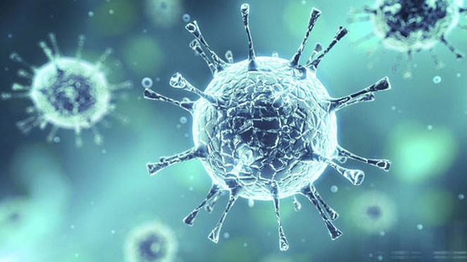 Phát hiện thành phần chủ chốt của vi rút HIV Phát hiện thành phần chủ chốt của vi rút HIV