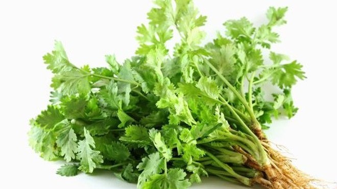 6 thực phẩm giúp cơ thể giải độc kim loại nặng Nghiên cứu cho thấy rằng loại thảo dược này giúp loại bỏ thủy ngân, nhôm và chì từ cơ thể của bạn chủ yếu qua nước tiểu.
