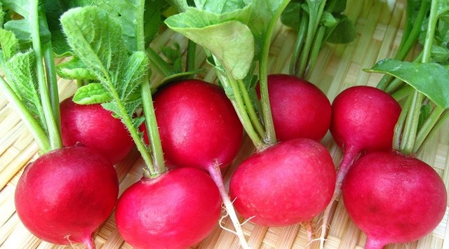 Giữ sức khỏe mùa thu: Tận dụng rau củ quả để thải độc cơ thể Thải độc cơ thể bằng rau củ quả rất tốt góp phần giữ sức khỏe mùa thu. Ảnh minh họa