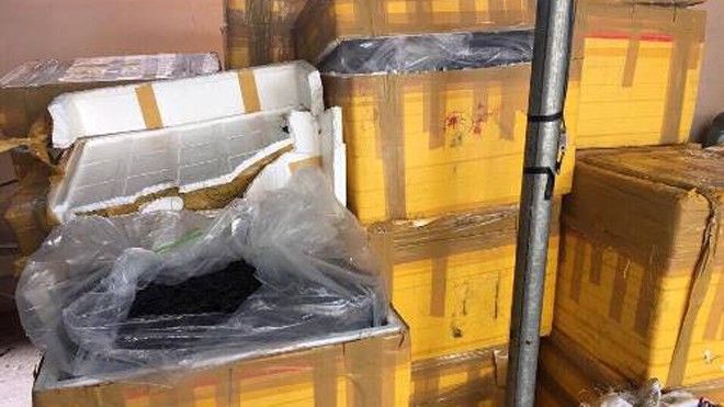 Bắt giữ 960 kg đỉa khô trên xe khách Móng Cái – Hạ Long 960 kg đỉa khô được đựng trong các thùng xốp bị thu giữ. Ảnh: Minh Phong/VnExpress