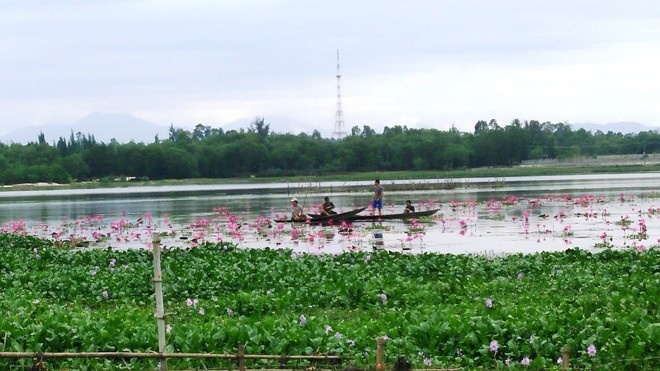 Đi bắt ốc, hãi hùng phát hiện thi thể trôi sông Đi bắt ốc, hãi hùng phát hiện thi thể trôi sông