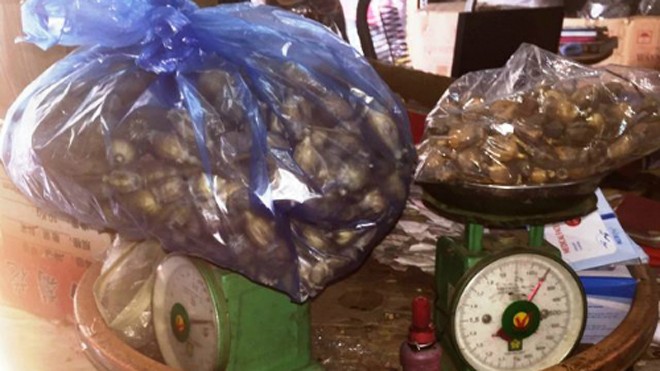 Thực hư rượu ngâm quả thuốc phiện giúp tăng sinh lý đàn ông Quả thuốc phiện bán ở nhà thuốc cho một số người muốn ngâm rượu. Ảnh: A.X