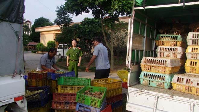 Thủ tướng yêu kiểm soát chặt biên giới ngăn virus cúm A/H7N9 Thủ tướng yêu cầu các bộ, ngành, địa phương giám sát chặt chẽ, xử lý nghiêm vấn đề nhập lậu gia cầm, sản phẩm gia cầm qua biên giới