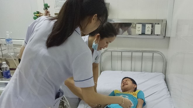 Khi bị ngộ độc hạt cây ngô đồng cần xử lý thế nào? 9 học sinh cấp 2 ở Hà Tĩnh phải nhập viện vì ngộ độc hạt cây ngô đồng