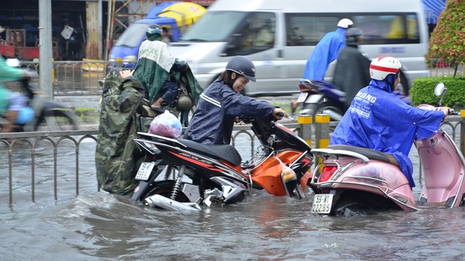 Cảnh báo ngập lụt qua mạng để người dân chủ động ứng phó Cảnh báo ngập lụt qua mạng để người dân chủ động ứng phó