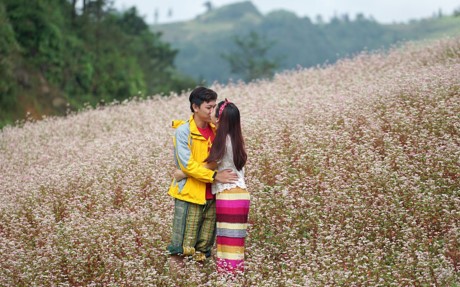 9X quỳ gối cầu hôn bạn gái giữa cánh đồng hoa tam giác mạch Đức Minh cầu hôn bạn gái giữa cánh đồng hoa tam giác mạch. Ảnh: Duy Hiếu.