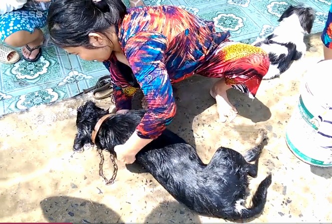 Vùng ven Sài Gòn hoang tàn sau sự cố nổ khí amoniac Vùng ven Sài Gòn hoang tàn sau sự cố nổ khí amoniac