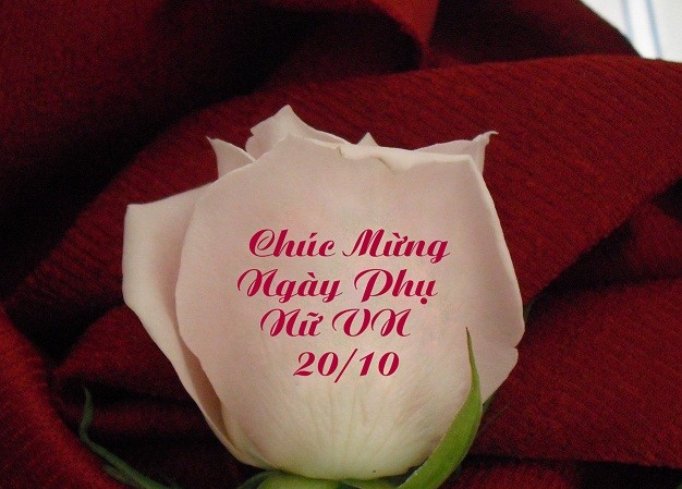 500.000 đồng một bông hoa 'biết nói' ở Sài Gòn 500.000 đồng một bông hoa 'biết nói' ở Sài Gòn