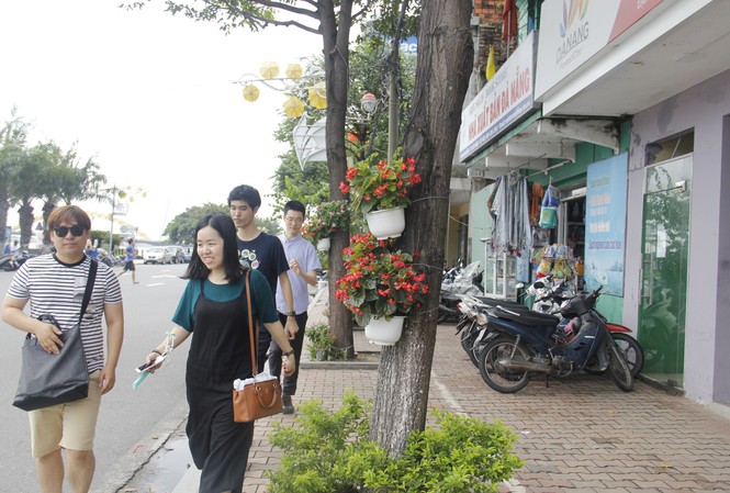 Dân Đà Nẵng treo giỏ hoa khắp đường đón APEC Dân Đà Nẵng treo giỏ hoa khắp đường đón APEC