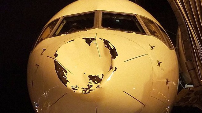 Máy bay Mỹ móp đầu vì va chạm với chim trên độ cao 9.000m Đầu máy bay Boeing của hãng Delta tróc sơn, lõm vào bên trong. (Ảnh: Dailymail)
