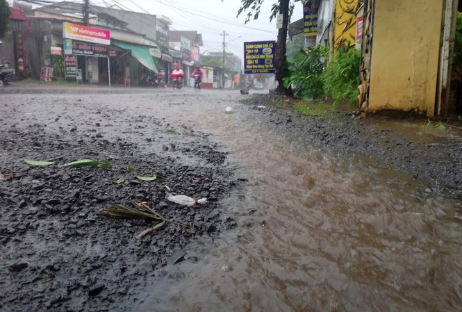 Tây Nguyên: Mưa to, tốc mái, sập nhà, đổ cây do bão Damrey Mưa to, gió lớn trên địa bàn TP Buôn Ma Thuột, Krông Pắk