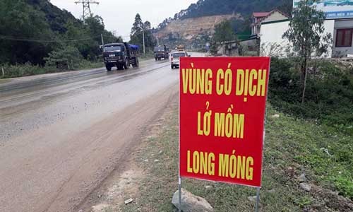 Ổ dịch lở mồm long móng xuất hiện tại Nghệ An, 14 cá thể nhiễm bệnh Cơ quan chức năng cắm biển cảnh báo tại địa bàn xảy ra dịch