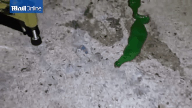 Sinh vật kỳ dị màu xanh bí ẩn có lưỡi màu hồng siêu dài Sinh vật kỳ dị màu xanh bí ẩn có lưỡi màu hồng siêu dài