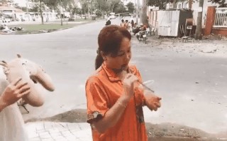 Già trẻ gái trai nghẹo cổ, nhắm nghiền mắt chỉ vì một... chiếc gối Già trẻ gái trai nghẹo cổ, nhắm nghiền mắt chỉ vì một... chiếc gối
