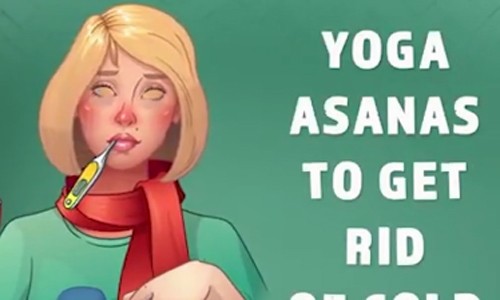 5 phút tập yoga phòng cảm cúm hiệu quả 5 phút tập yoga phòng cảm cúm hiệu quả