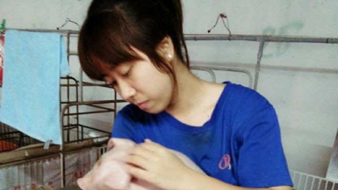 Cô sinh viên thực tập ở trang trại lợn 'gây sốt' mạng xã hội Cô bạn đang chăm sóc những chú lợn con