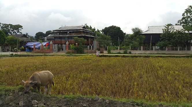 Đêm say Chao Hạ giữa Mường Lò Bản Chao Hạ - điểm đến của một làng du lịch văn hóa Thái ở Mường Lò