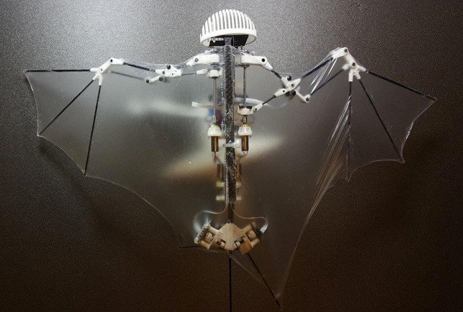 Cảm hứng từ dơi giúp drone Mỹ trở nên siêu đẳng Thiết kế drone lấy cảm hứng từ dơi giúp thiết bị có thể bay lượn dễ dàng và không cần sự điều khiển của con người. (Ảnh: Science Robotics).