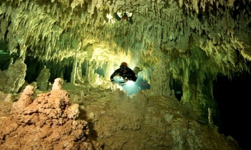 Có gì trong hang động dưới nước lớn nhất hành tinh ở Mexico Một thợ lặn thám hiểm trong hang. Ảnh: GAM.