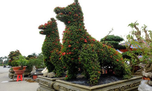 Những cây cảnh tiền tỷ cho Tết Mậu Tuất Mẫu đơn hình chó được định giá tới 250 triệu đồng.
