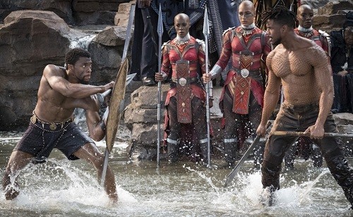 'Black Panther' - bom tấn của kiêu hãnh và đấu tranh sắc tộc Một cảnh chiến đấu trong phim.