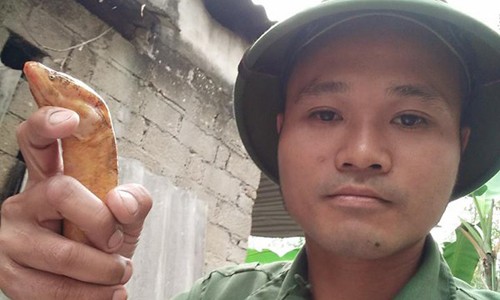Dân Hà Tĩnh kéo nhau xem lươn vàng có nhiều hoa văn Anh Thành cầm con lươn dạng hiếm vừa bắt được